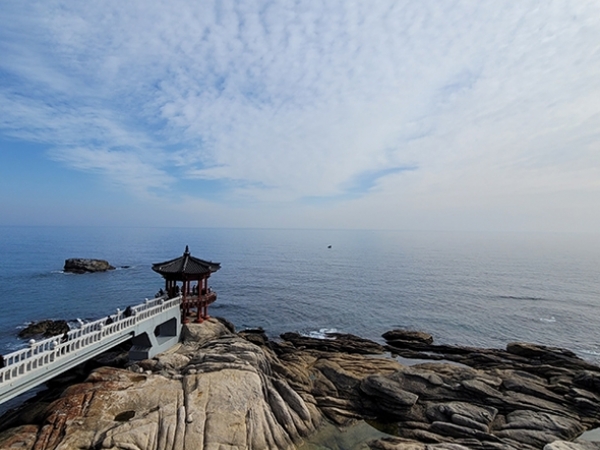 [배송]김해낙동강레일파크 레일바이크/와인동굴 예매